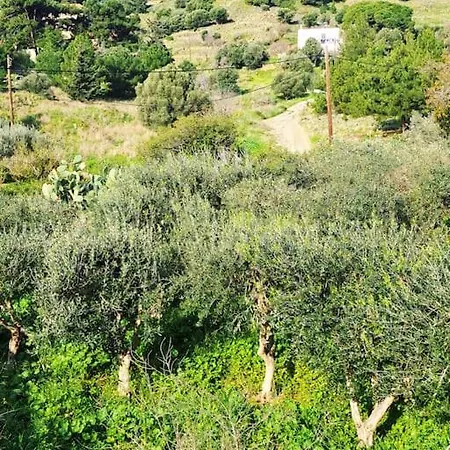 ο παράδεισος της αφροδίτης Panormos (Kalymnos)