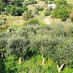 ο παράδεισος της αφροδίτης Panormos (Kalymnos)