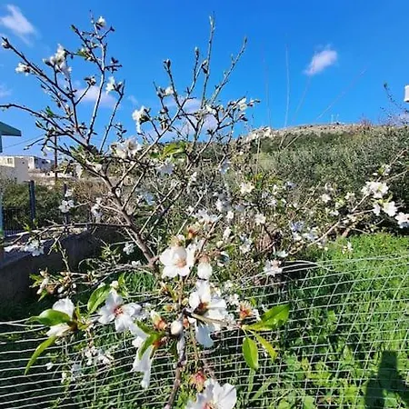 ο παράδεισος της αφροδίτης Willa Panormos (Kalymnos)