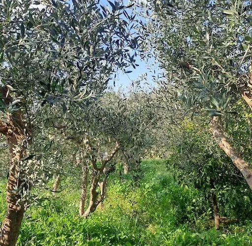 فيلة ο παράδεισος της αφροδίτης *